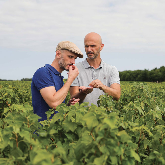 Depuis plus de 170 ans, la famille Merlet cultive son savoir-faire de la distillation, l’infusion et l’art de l’assemblage.
